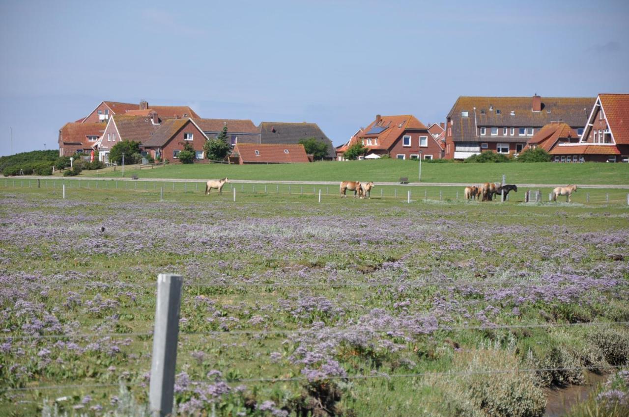 Seevilla Wietjes Whg 6 Baltrum Kültér fotó